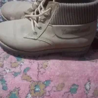 دو جفت کفش مردانه یک جفت زنانه|کیف، کفش، کمربند|تربت‌حیدریه, داروپخش|دیوار