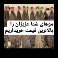 خریداراصلی موی طبیعی