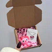 پک هدیه دخترانه ۹۹ تومنی|بدلیجات|قم, ژاندارمها|دیوار