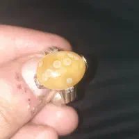 معاوضه با عروس هلندی دستی و سخنگو