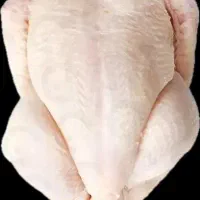 ران.شینسل.فیله مرغ گرم شمال بالاترین کیفیت|خوردنی و آشامیدنی|اصفهان, باغ زرشک|دیوار