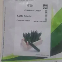 بذر فلفل گوجه خیار سمینیس فلات|خدمات باغبانی و درختکاری|شیراز, آزادگان|دیوار