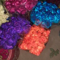 به کارگر خانم در گلخانه گل رز نیازمندیم فقط فریمان