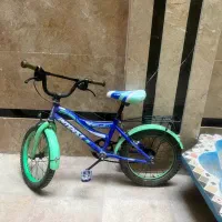 دوچرخه سالم