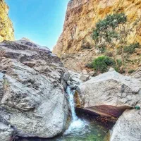گروه طبیعت گردی