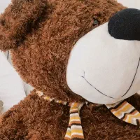 عروسک خرسی بزرگ|اسباب‌‌بازی|اصفهان, کوی امیریه|دیوار