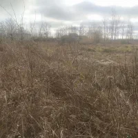 اجاره-زمین2500متری