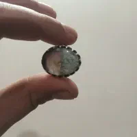 انگشتر دست ساز شجر بهاره|جواهرات|لنجان, |دیوار