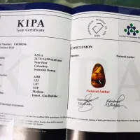 کهربایی بالکان اصل دارای حشره و شناسنامه معتبر
