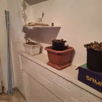 تعدادی گلدان بف فروش میرسد