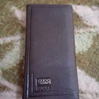 مدارک گم شده سعید دیوانی