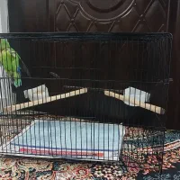 قفس مشکی بزرگ|لوازم جانبی حیوانات|رشت, حومه رشت|دیوار