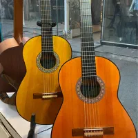 گیتار طرح c40/مناسب مبتدی/مهلت تست و تایید