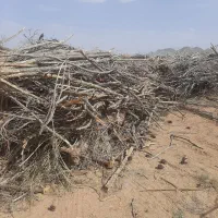 ضایعات چوب پالت شکسته هیزمی و دور ریختنی|عمده‌فروشی|نجف‌آباد, شهدا|دیوار