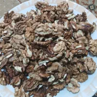 گردو کلات