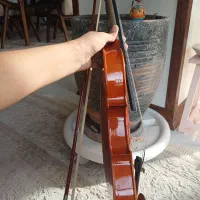 ویولن|ویولن|اندیشه, شهرک صدف|دیوار