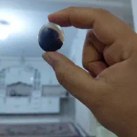 سنگ انگشترشجر|جواهرات|تویسرکان, |دیوار