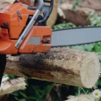 هرس و برش درخت با اَرّه برقی