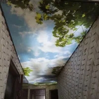 نیروی نصب سقف کشسان لابل|خدمات پیشه و مهارت|سبزوار, کوی بهار|دیوار