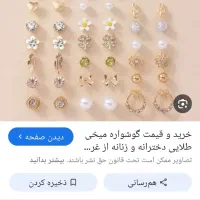 یک لنگ گوشواره پیدا شده