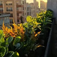 طراحی اجرای گیاهی فلاورباکس ساختمان تجاری اداری