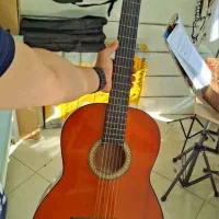 گیتار ++|گیتار، بیس، امپلیفایر|تهران, نازیآباد|دیوار