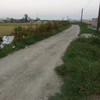 زمین نسقی|فروش زمین و ملک کلنگی|رشت, سیا اسطلخ|دیوار