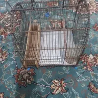 قفس دست بافت