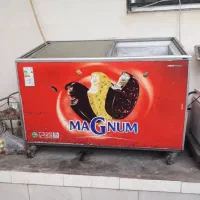 یخچال بستنی و مواد غذایی در حد نو سالم و سلامت