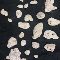 مرجان تزیینی آکواریوم ماهی