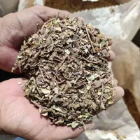 خوراک برای دام گوسفند وپرورش شتر مرغ طبع گرم