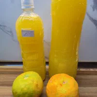 انواع محصولات خانگی بدون موادنگهدارنده|خوردنی و آشامیدنی|تهران, تهرانسر مرکزی|دیوار