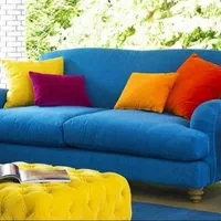 قالیشویی گل سرخ|خدمات نظافت|زاهدان, |دیوار