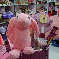 ولنی|اسباب‌‌بازی|اردبیل, |دیوار