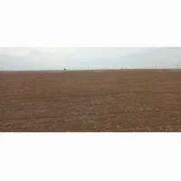 اجاره۱۵هکتارزمین کشاورزی دیم|اجارهٔ دفتر صنعتی، کشاورزی، تجاری|اندیمشک, |دیوار