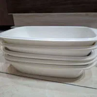 ظرف مرغ خوری ملامین