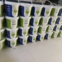 رنگ روغنی و پلاستیک اشن