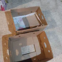 جعبه موز محکم و سالم|ظروف نگهدارنده، پلاستیکی، یک‌بارمصرف|رشت, فرزانه|دیوار