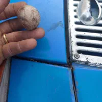 سنگ تخمه مرغی|کلکسیون اشیاء عتیقه|ارومیه, |دیوار