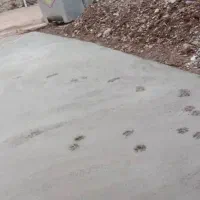 یک قطعه زمین کشاورزی یه مرغداری گوشتی