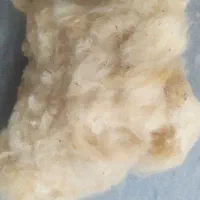 پنبه تمیز