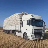 100تن کاه دیم نرم درجه یک