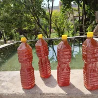 فروش عمده سرکه سیب طبیعی|خوردنی و آشامیدنی|مهریز, |دیوار