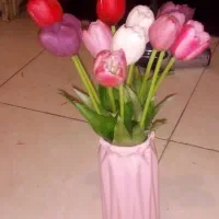 گلدان جاودان