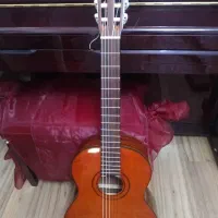 گیتار اریا|گیتار، بیس، امپلیفایر|پردیس, فاز ۱۱|دیوار