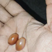 جفت مهره عقیق