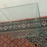 اکواریوم شیشه خم