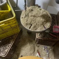 خدمات تراشکاری سریکاری سوراخ قلاویزجوش تولیدقطعات|خدمات پیشه و مهارت|کرج, کیانمهر|دیوار