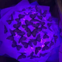 بوکت پروانه ای|ریسه و چراغ تزئینی|ارومیه, |دیوار