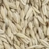 1 گونی جو محلی و زغال